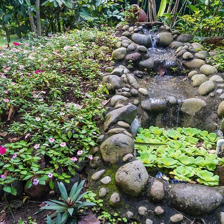 Hotel Vista Del Cerro La Fortuna المظهر الخارجي الصورة