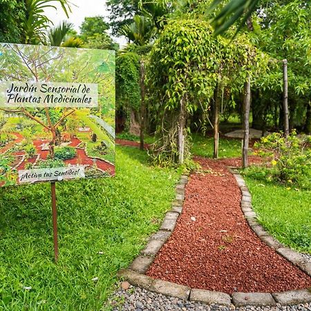 Hotel Vista Del Cerro La Fortuna المظهر الخارجي الصورة