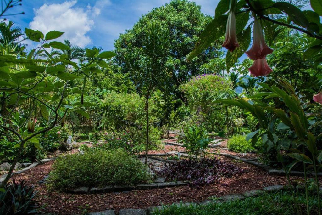 Hotel Vista Del Cerro La Fortuna المظهر الخارجي الصورة