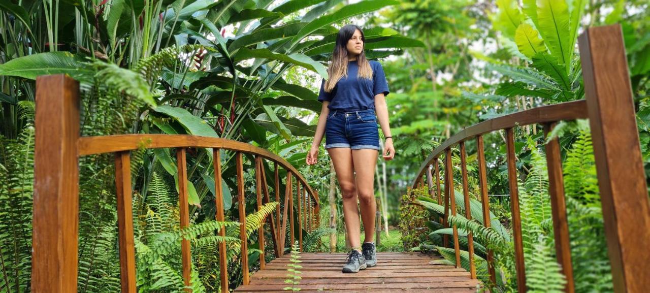 Hotel Vista Del Cerro La Fortuna المظهر الخارجي الصورة
