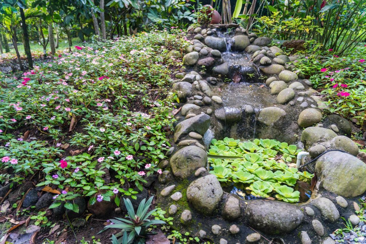 Hotel Vista Del Cerro La Fortuna المظهر الخارجي الصورة